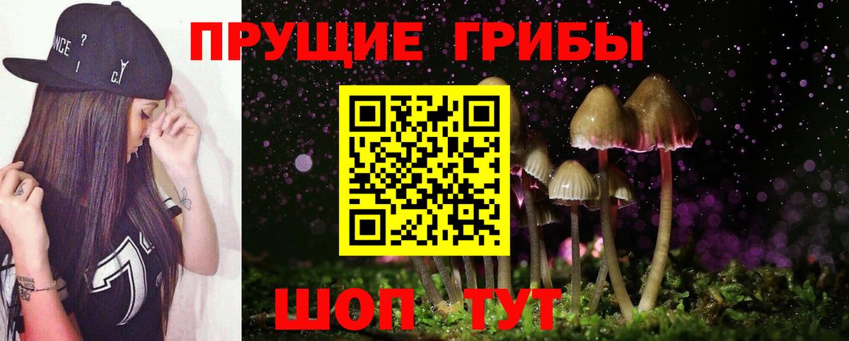 Городец  Псилоцибиновые грибы прущие грибы  Вход с VPN 